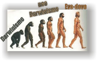 evoluzione darwinismo